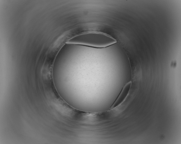 X0000112980140200909031117