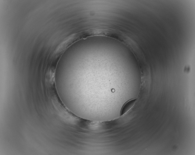 X0000112980142200909031117