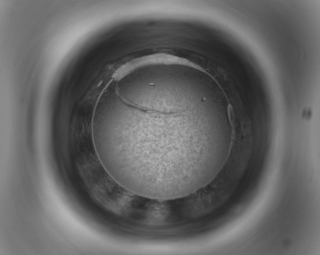 X0000112980143200909031117