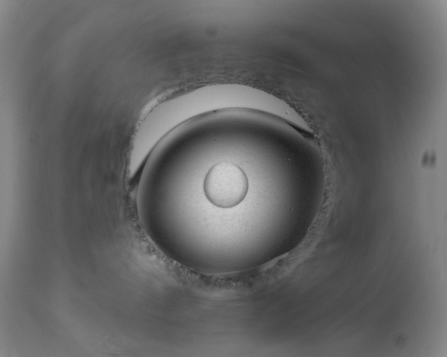 X0000112980144200909031117