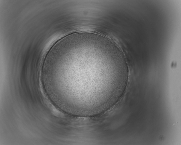 X0000112980145200909031117