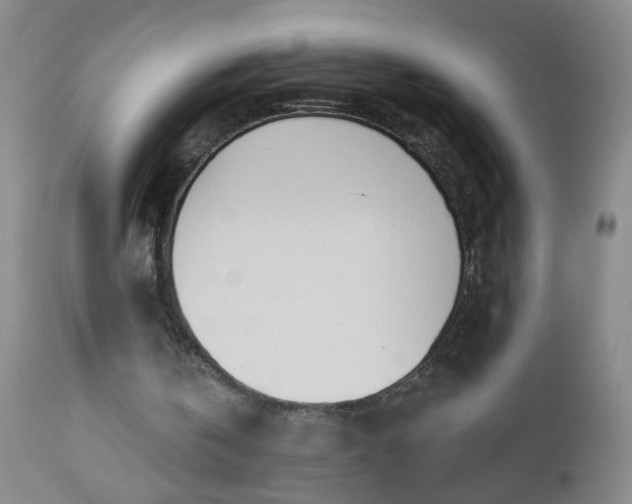 X0000112980146200909031117