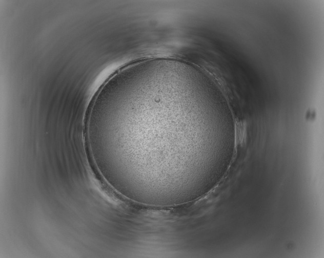 X0000112980147200909031117