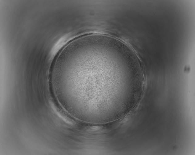 X0000112980151200909031117