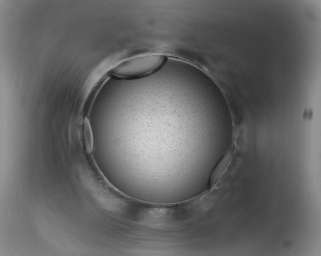 X0000112980152200909031117