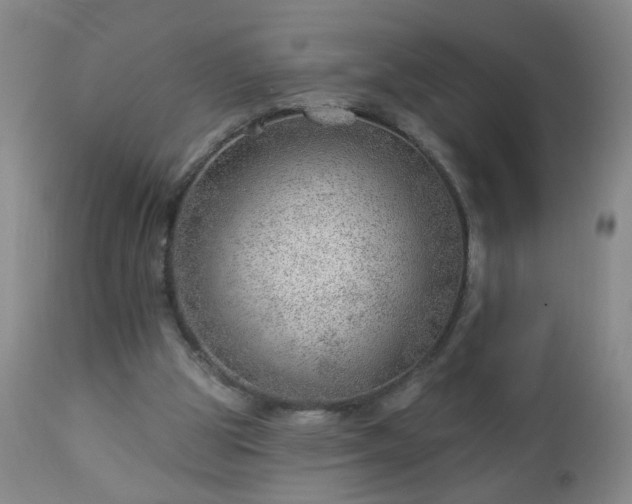 X0000112980153200909031117