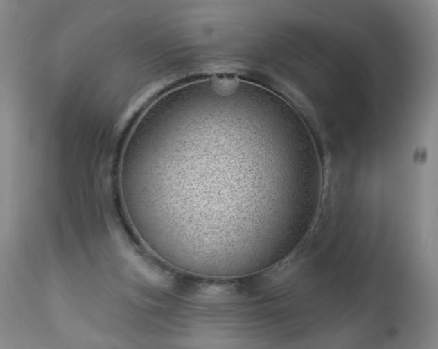 X0000112980155200909031117