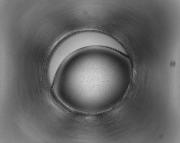 X0000112980156200909031117