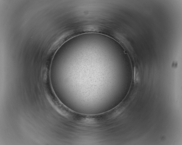 X0000112980157200909031117