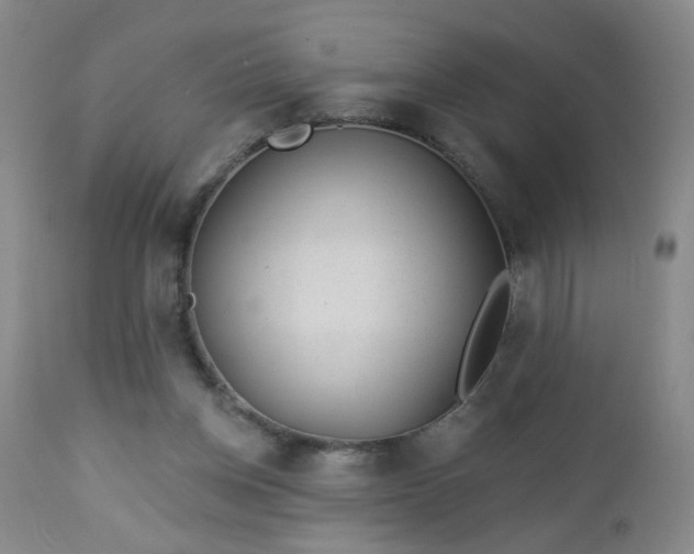 X0000112980158200909031117