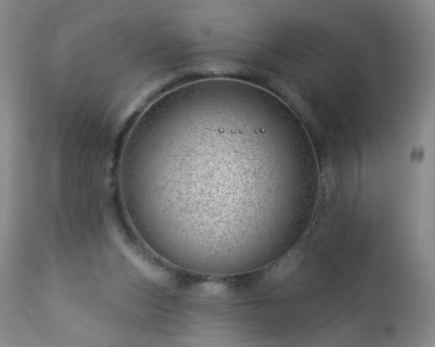 X0000112980159200909031117