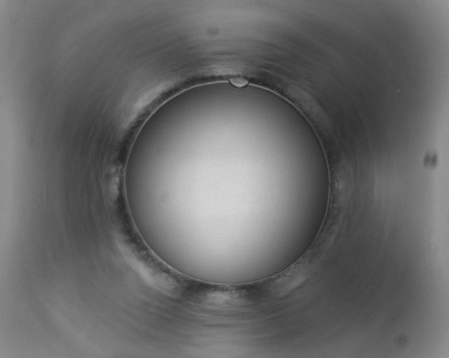 X0000112980160200909031117