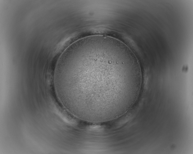 X0000112980161200909031117