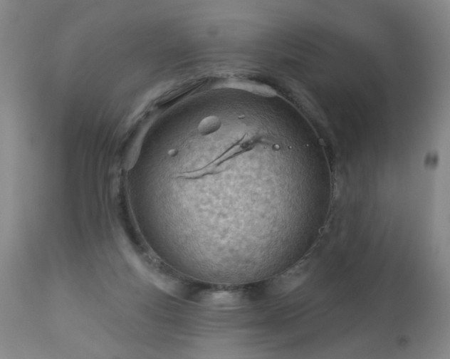 X0000112980163200909031117