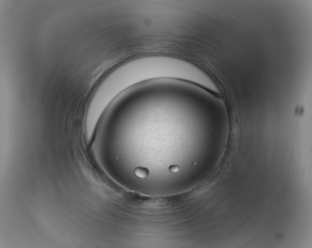 X0000112980164200909031117