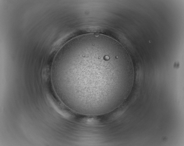 X0000112980165200909031117