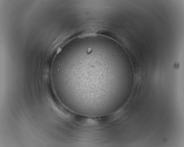 X0000112980166200909031117