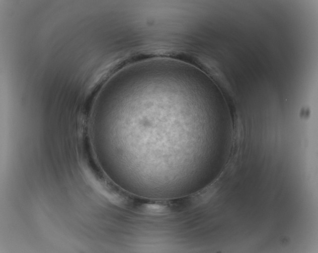 X0000112980167200909031117