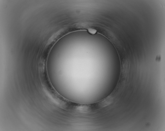 X0000112980168200909031117