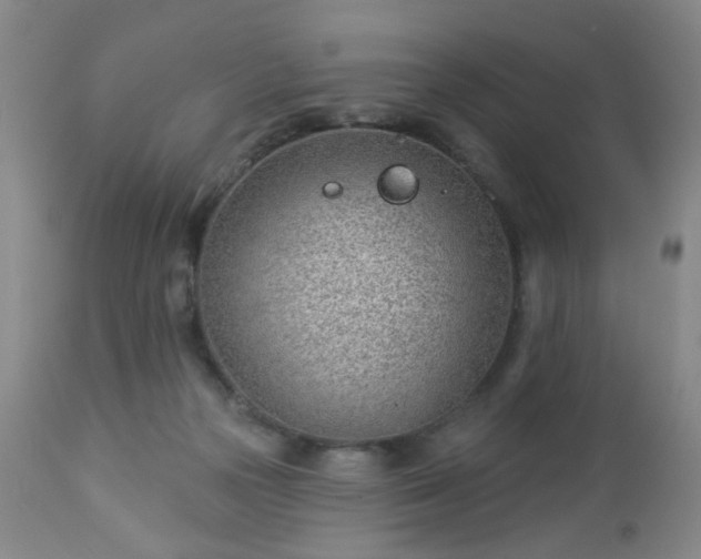 X0000112980169200909031117