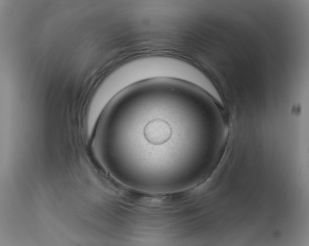 X0000112980170200909031117