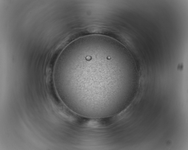 X0000112980171200909031117