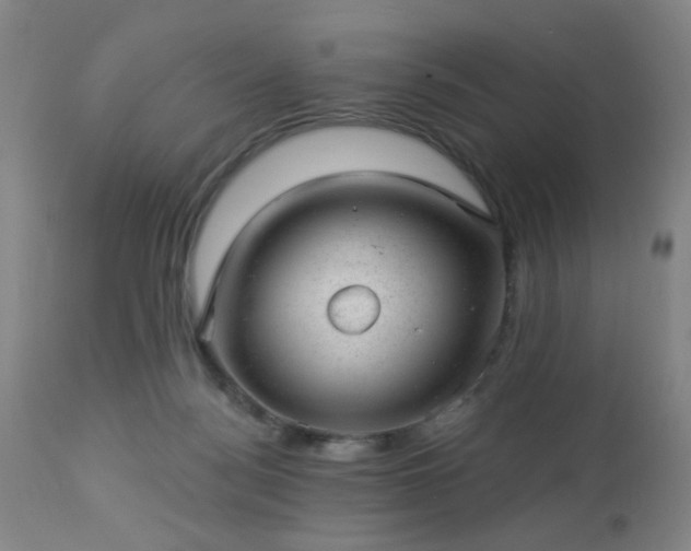 X0000112980172200909031117