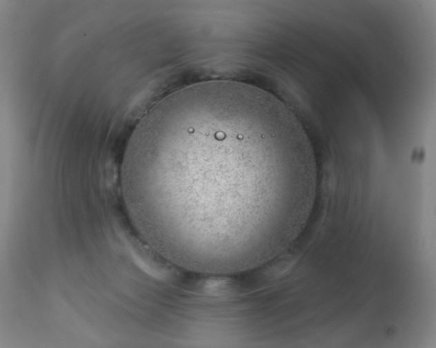 X0000112980173200909031117