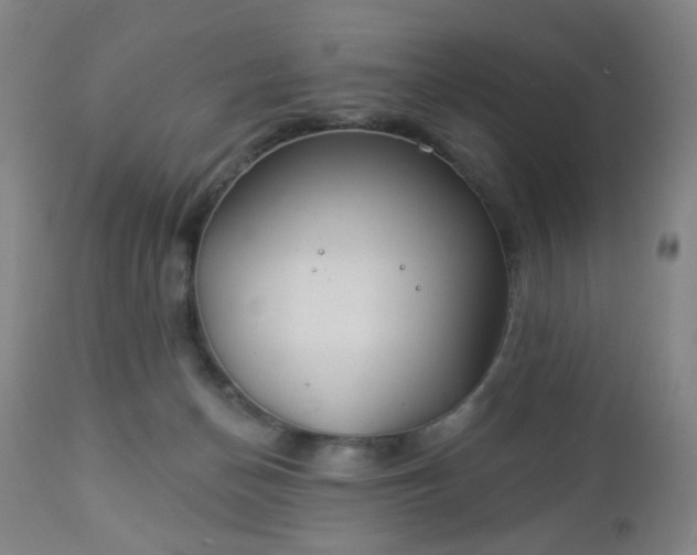 X0000112980174200909031117