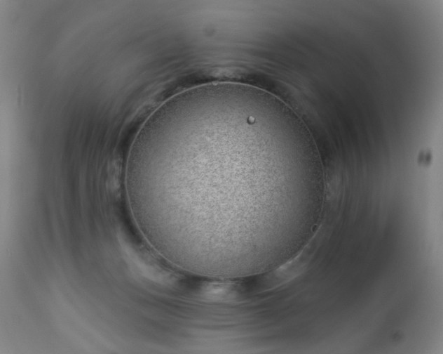 X0000112980175200909031117