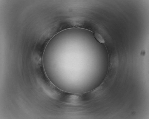 X0000112980176200909031117