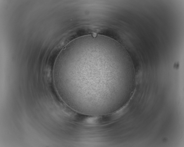 X0000112980178200909031117