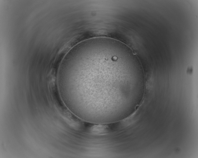 X0000112980179200909031117