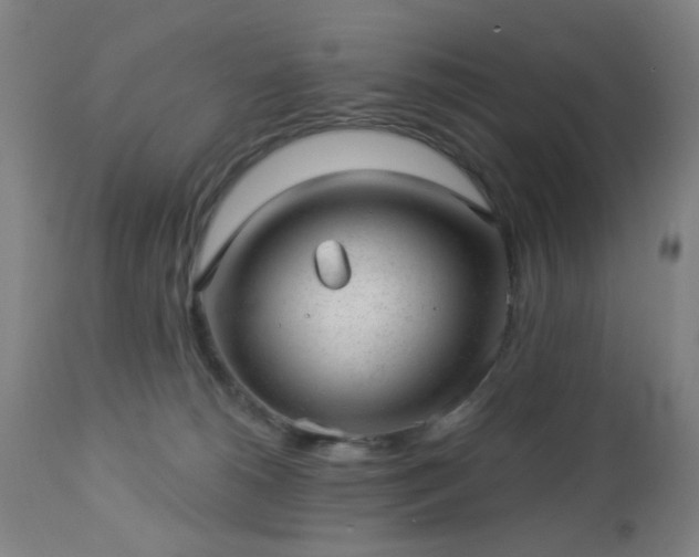 X0000112980180200909031117