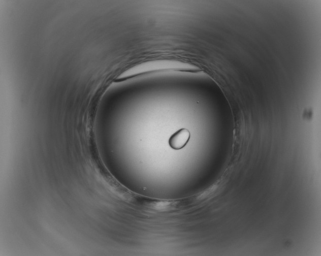 X0000112980184200909031117