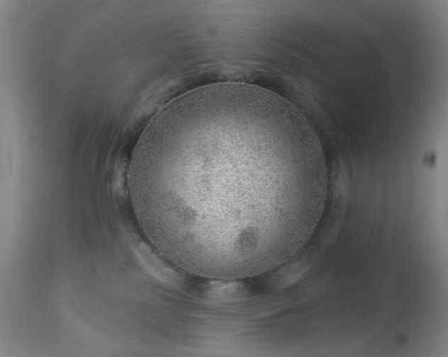 X0000112980185200909031117