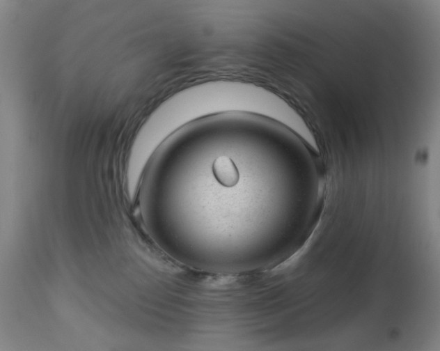 X0000112980186200909031117