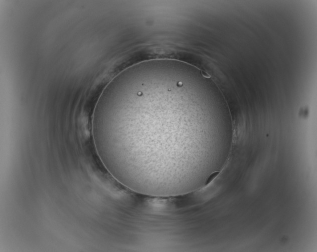 X0000112980187200909031117