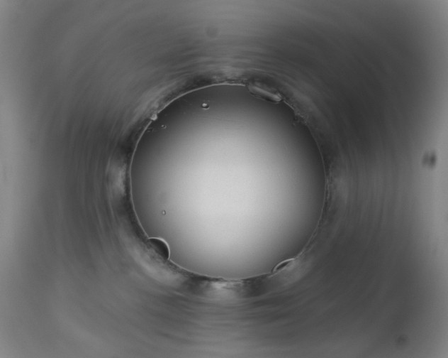 X0000112980188200909031117