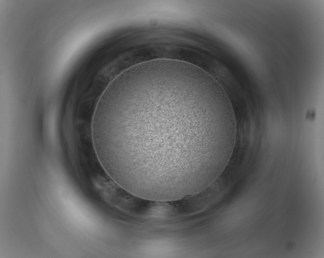 X0000112980189200909031117