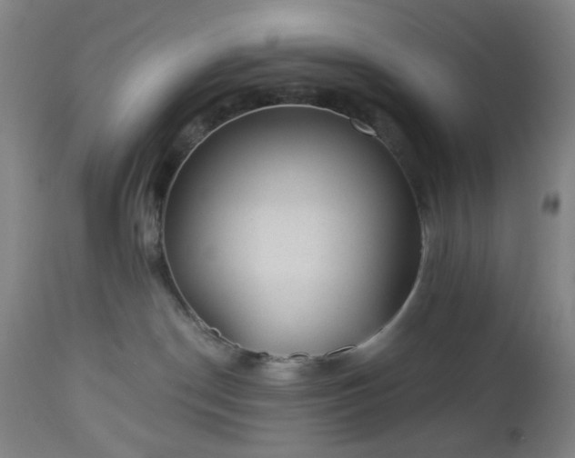 X0000112980190200909031117