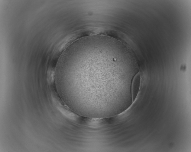 X0000112980191200909031117