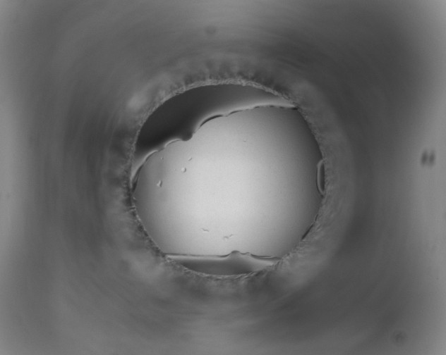 X0000112980192200909031117