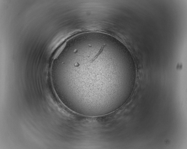 X0000112980194200909031116