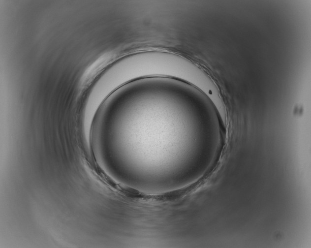 X0000112980197200909031116