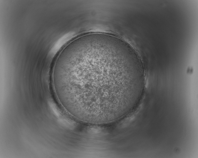 X0000112980199200909031116