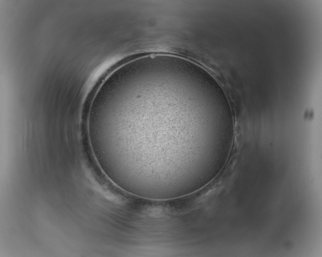 X0000112980200200909031116