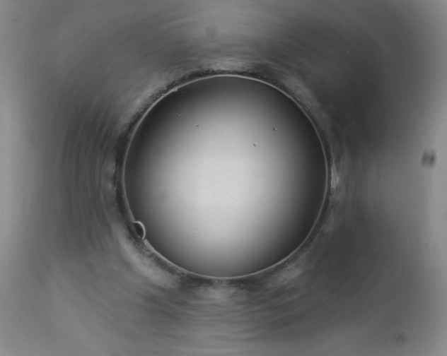 X0000112980201200909031116