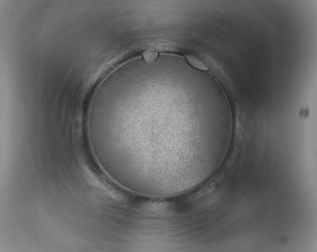 X0000112980202200909031116