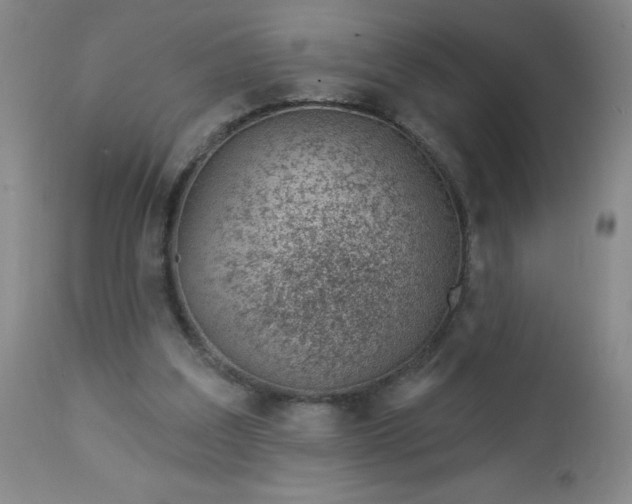 X0000112980203200909031116